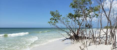 Beach nearby, sun-loungers, beach towels