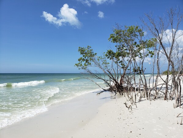 Plage à proximité, chaises longues, serviettes de plage