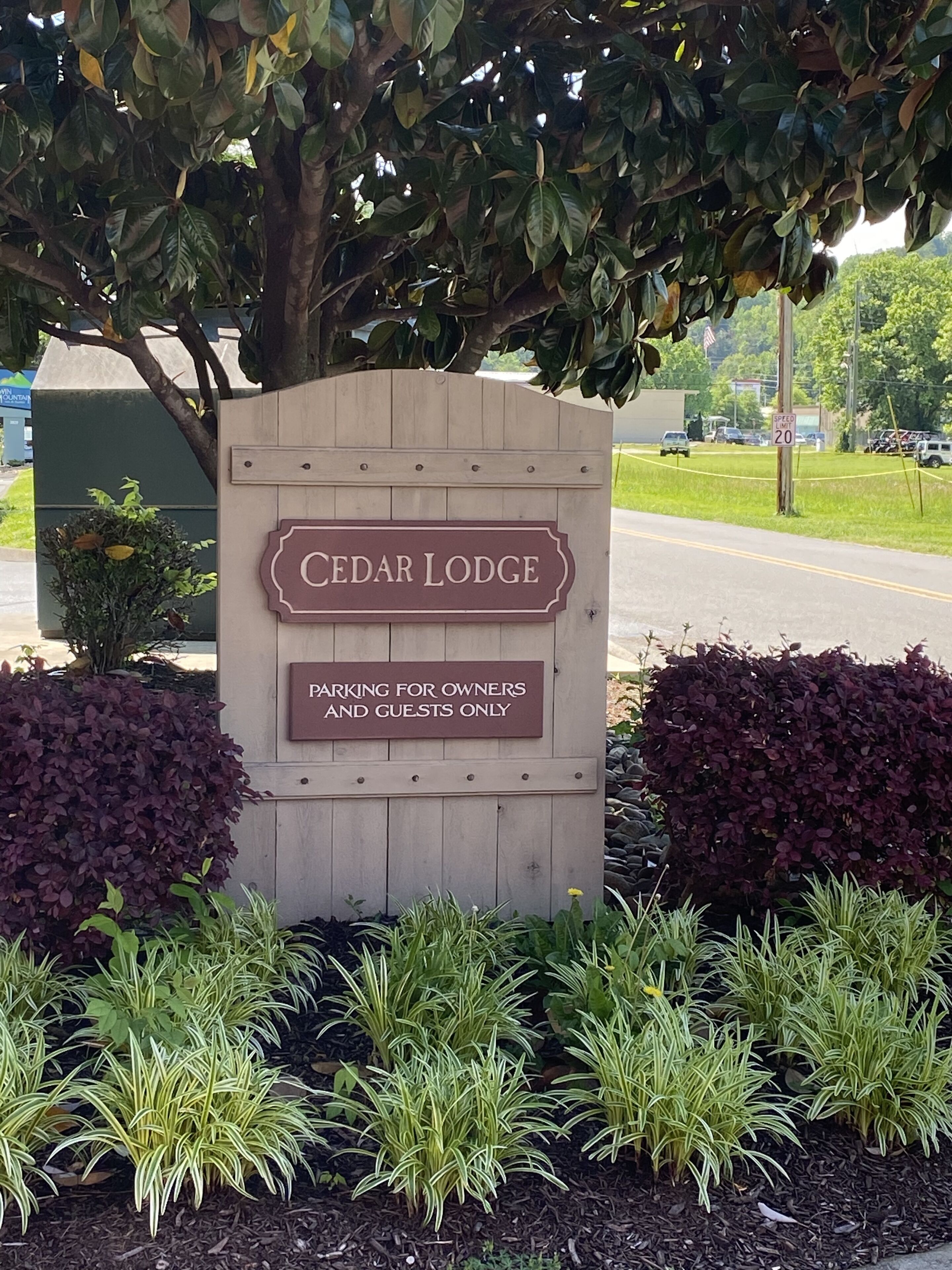 Terrain de l’hébergement 