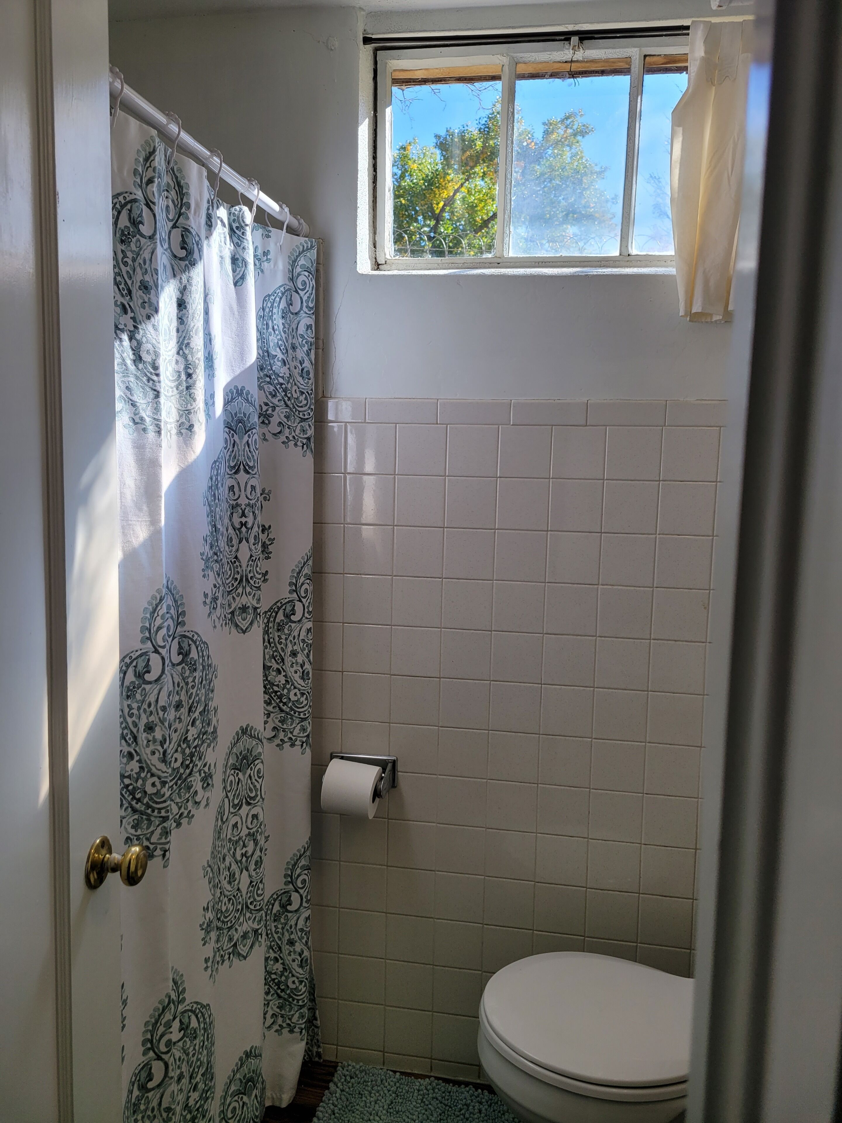 Beautifully furnished, spacious, comfortable. 1 block to campus.