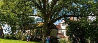 Pounce Hall -Stunning historic home in rural Essex