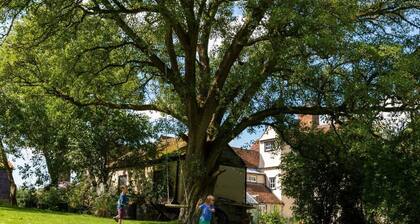 Pounce Hall -Stunning historic home in rural Essex
