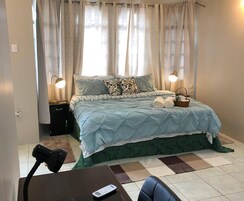 Executive Suite | Iron/ironing board, free WiFi