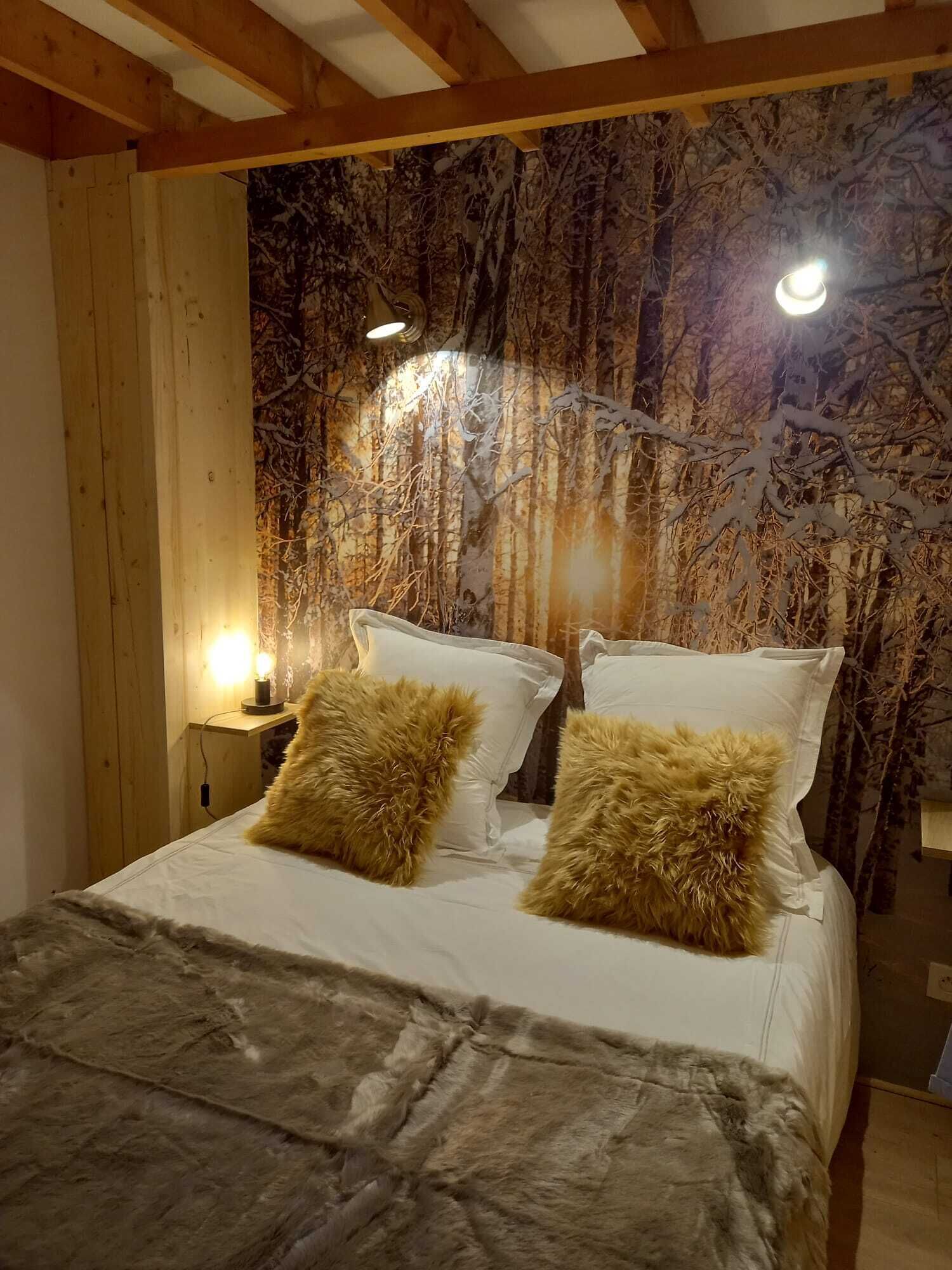 Chalet de caractère dans les alpes