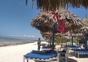 On the beach, sun loungers, beach towels - Jacaranda Beachfront villa Watamu (Watamu)