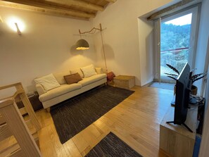 Televisión, reproductor de DVD, libros y estéreo 