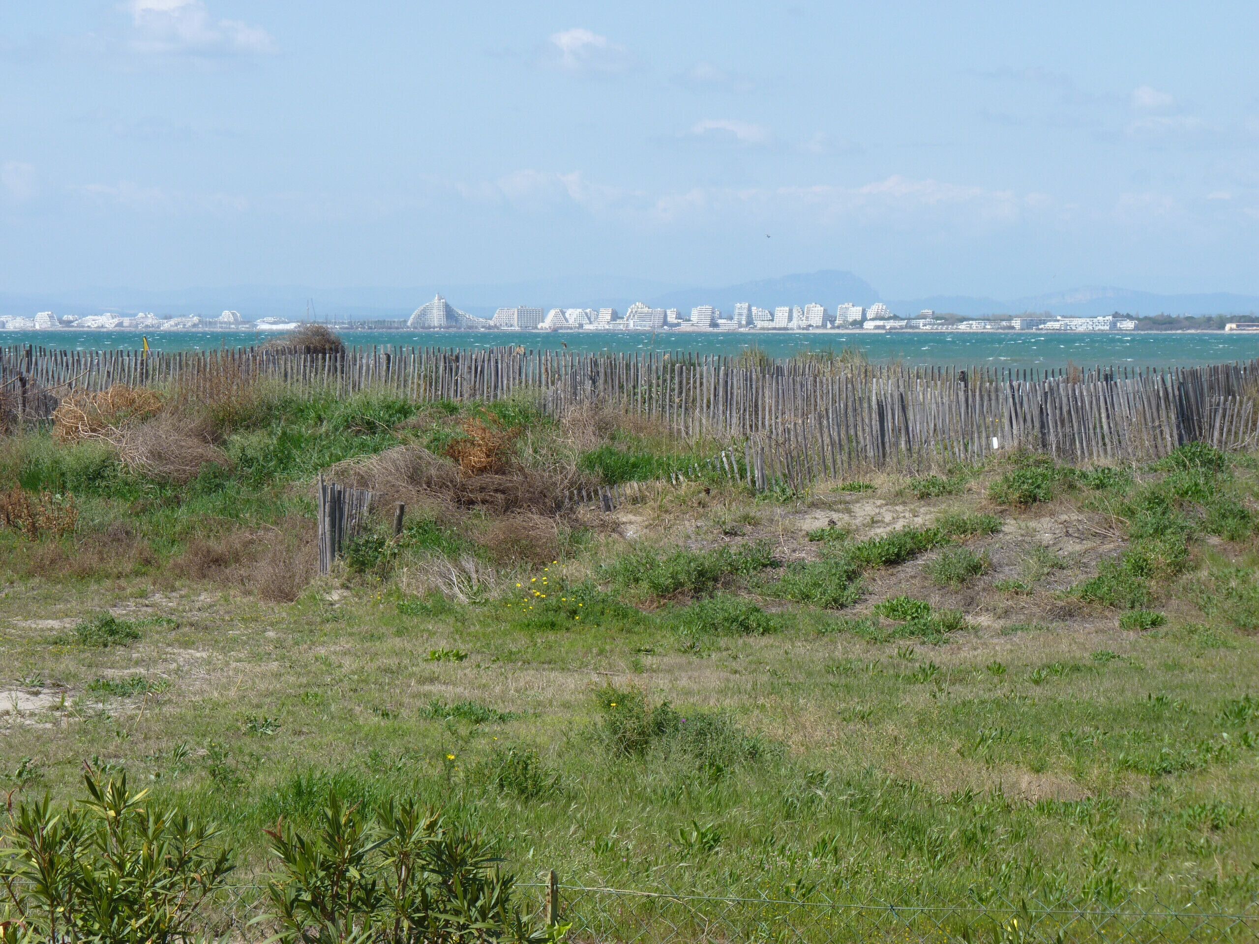 A coastal landscape with a wooden fence, grassy areas, and a distant cityscape with buildings and water.