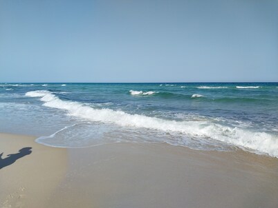 In the bangalow countryside 10 minutes from tazarka beach