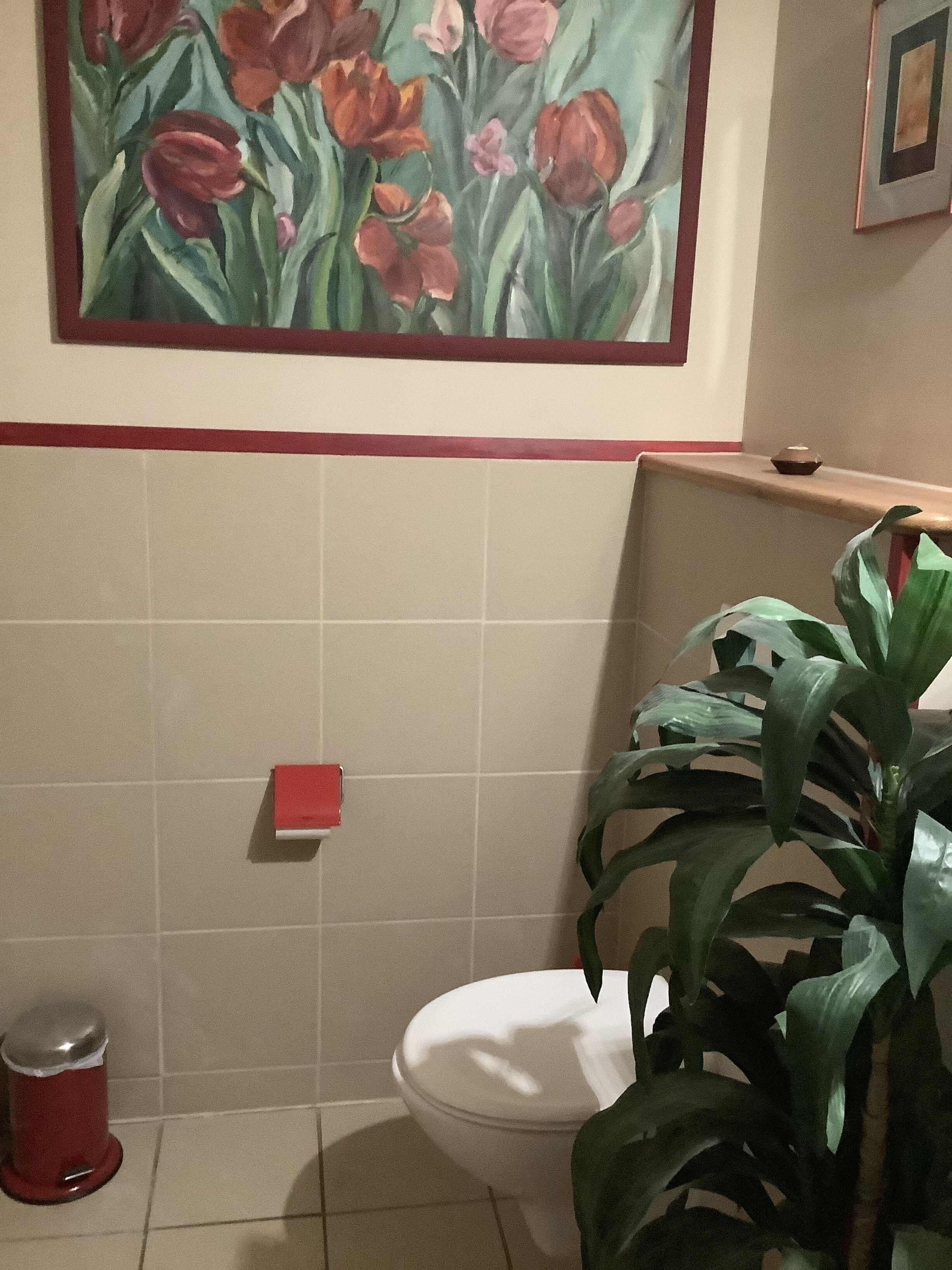 Um banheiro com vaso sanitário, lixeira, caixa de lenços de papel vermelha e uma grande planta em vaso.