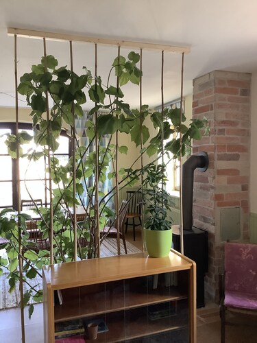 Ferienwohnung Sommerfrische