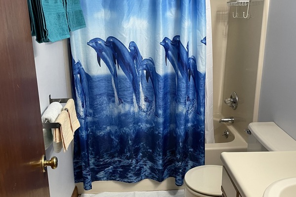 Combined shower/tub, towels, toilet paper