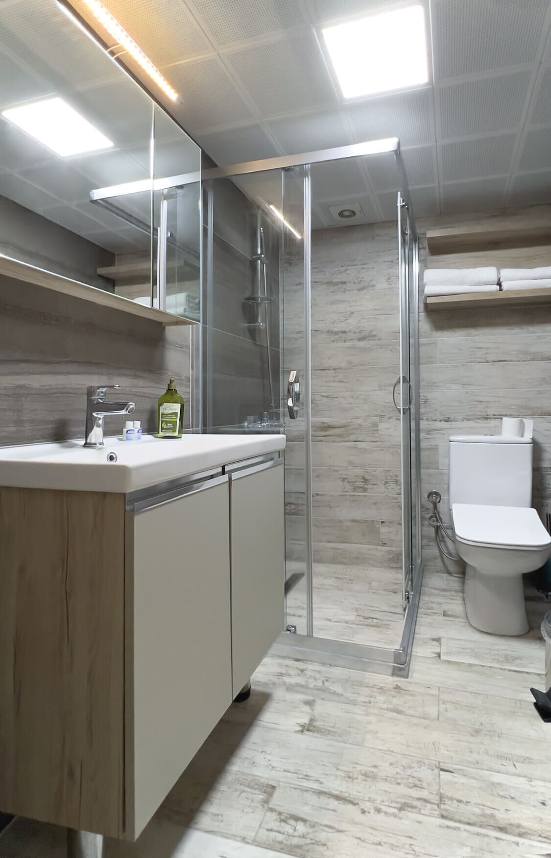 A modern bathroom with a glass shower enclosure, a toilet, and a sink with a mirror above.