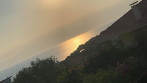 Un paysage côtier avec un coucher de soleil sur la mer, des arbres et des bâtiments.