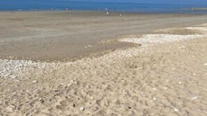 A beach with a clear sky and calm sea. - Exceptional setting, many points of interest (Prailles-La Couarde)
