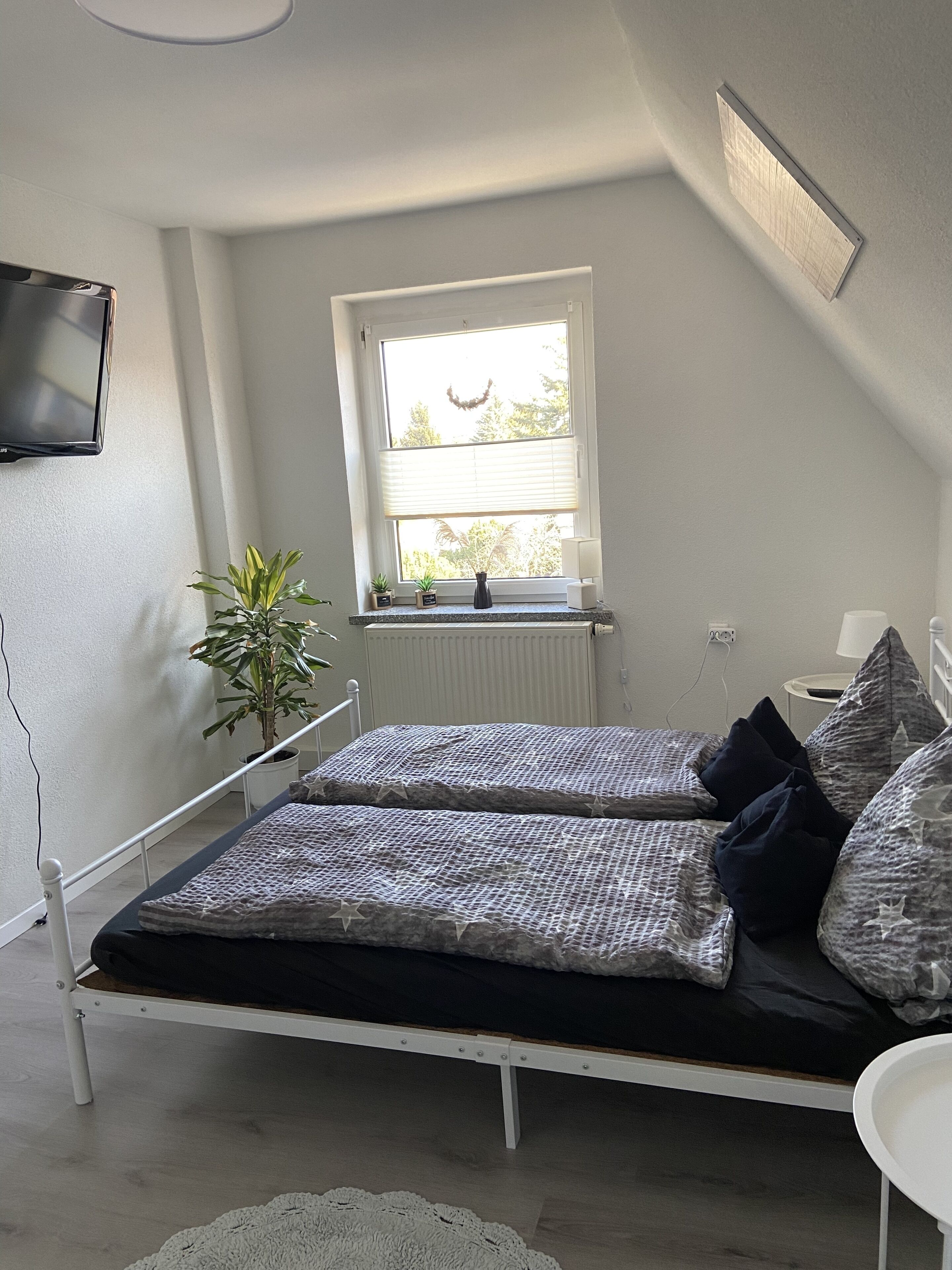Een slaapkamer met een bed, een raam, een plant en een televisie aan de muur.