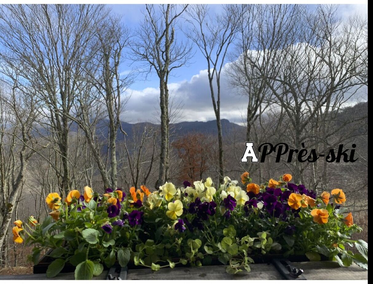 APPresSki – Banner Elk Summer & Fall On The Mountain – 5 Bed Swim, Hike, Bike