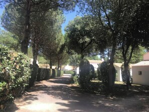 المنطقة المحيطة بالمنشأة