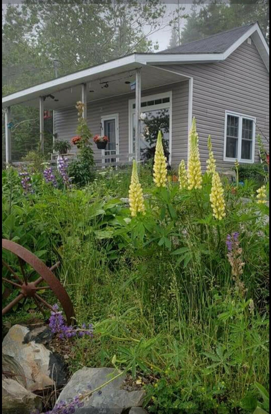 Quiet seaside cottage, close to Historic Sherbrooke Village. Pet Friendly