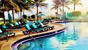 Un espace piscine avec des chaises longues et des palmiers.