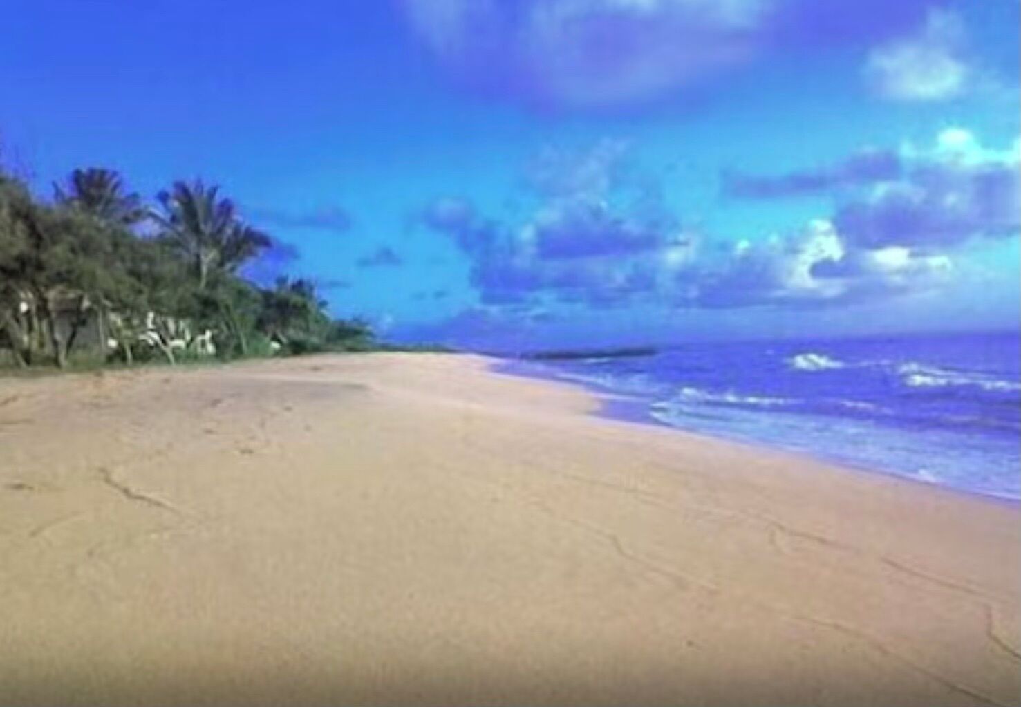 A beach with a clear sky and calm sea.