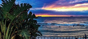 Garden on the Beach