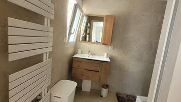 Shower, hair dryer, toilet paper