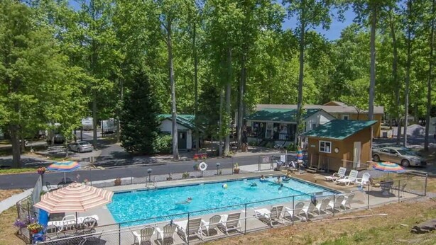 Ein Schwimmbecken mit Liegestühlen und Sonnenschirmen, umgeben von Bäumen und einem kleinen Gebäude.