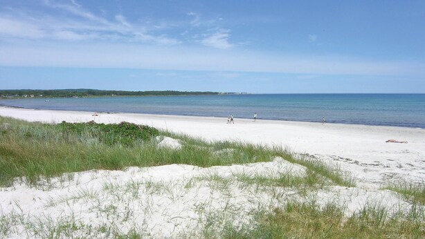 A beach with white sand and clear blue water. There are people walking along the shore. - Cozy apartment in Nexø with WiFi (Nexø)