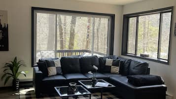 TV connectée, cheminée