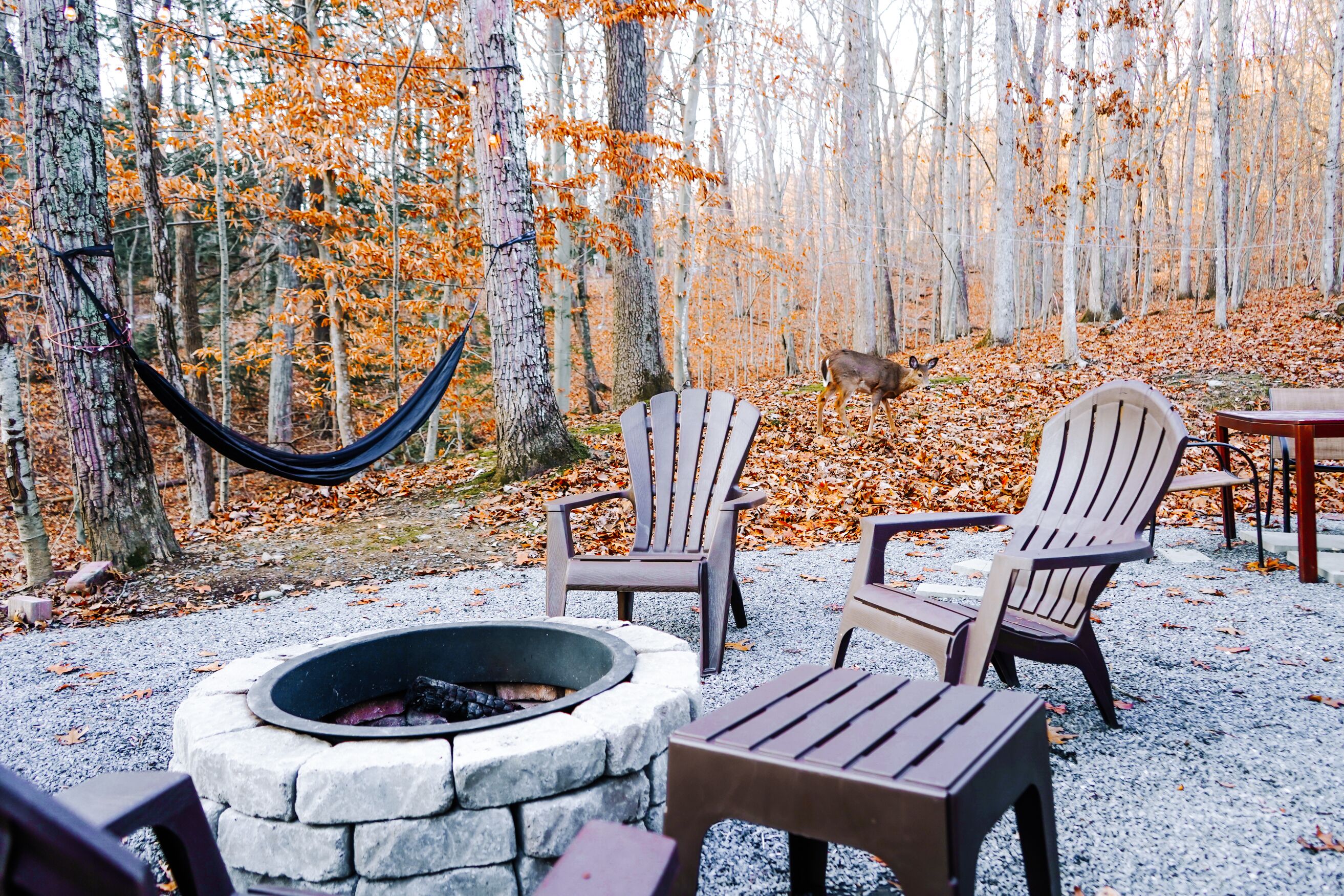 Un décor forestier avec un foyer en pierre, des fauteuils Adirondack en bois et un hamac.