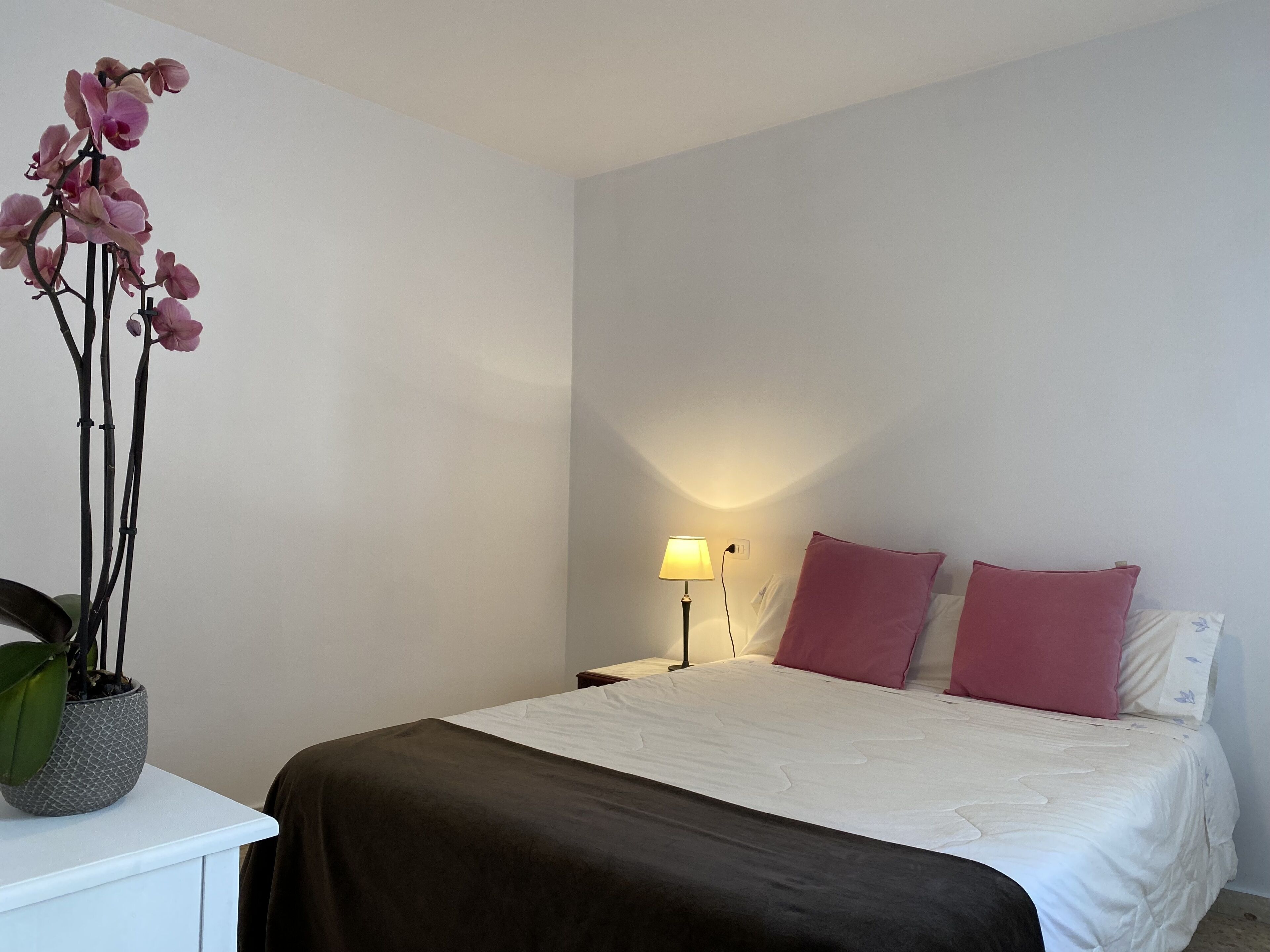 A bedroom with a bed, a nightstand, a lamp, and a potted orchid.