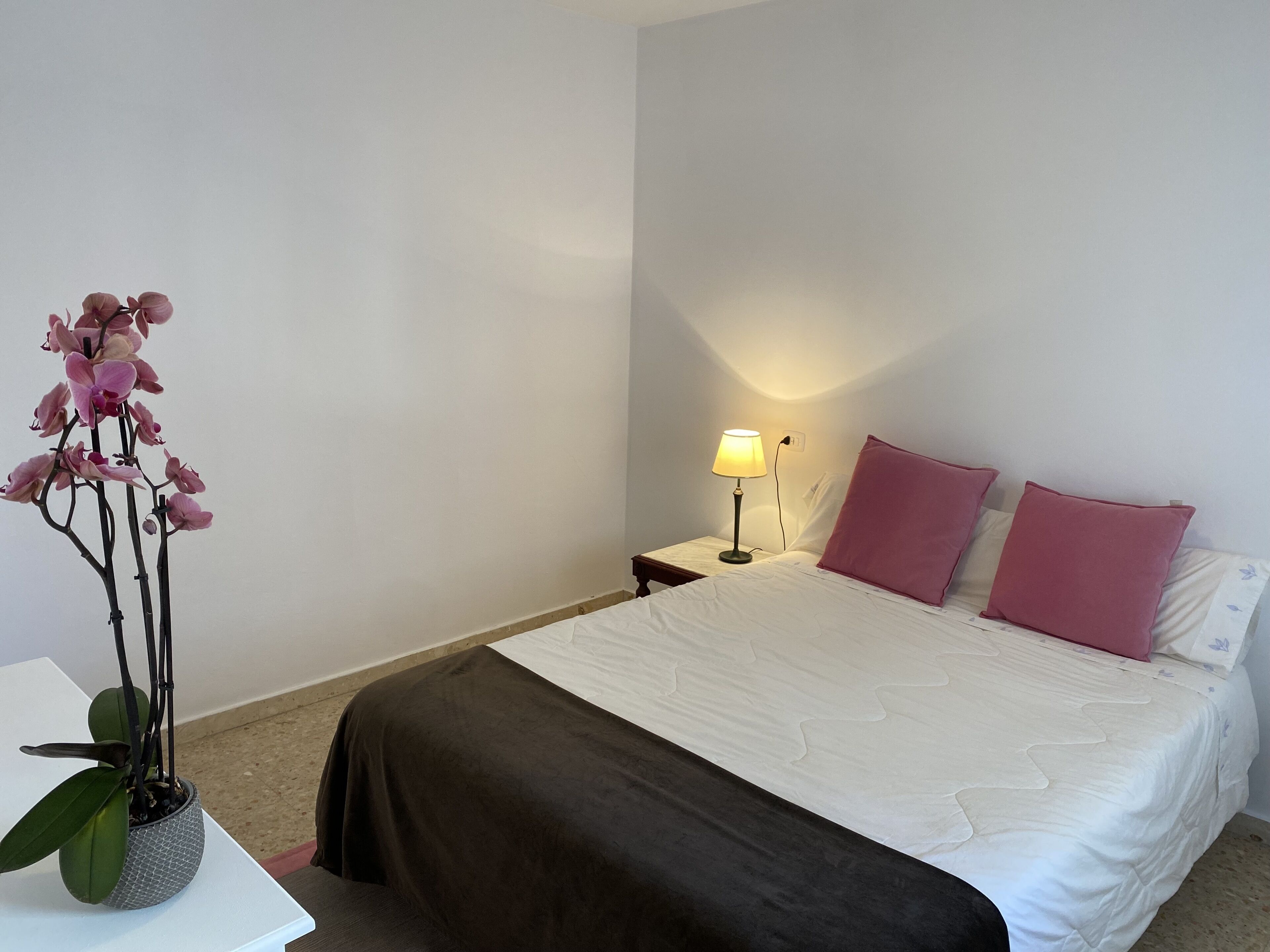 Padrón Centro, Camino De Santiago