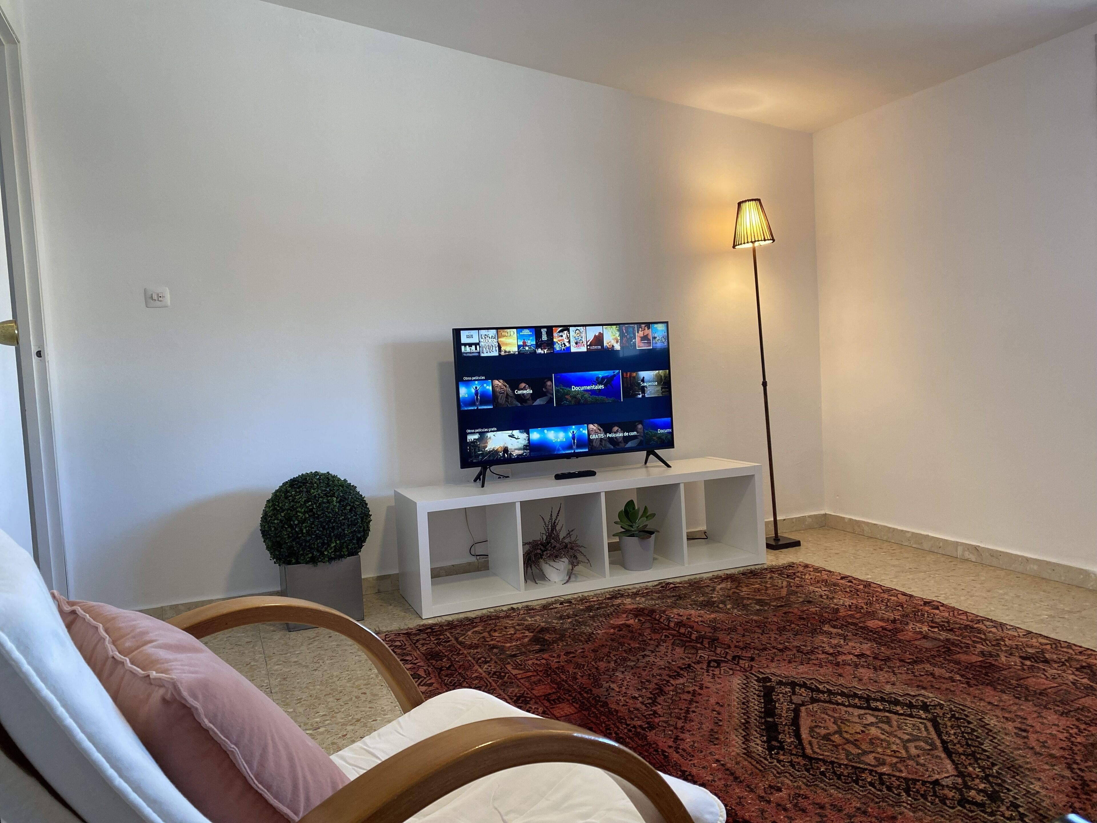 A living room with a flat-screen TV on a white stand, a red patterned rug, a small potted plant, and a floor lamp.