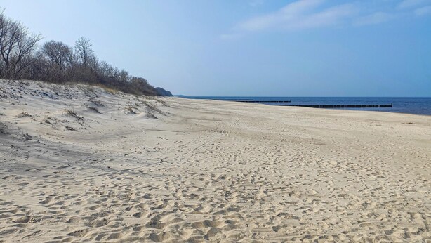 Una spiaggia sabbiosa con cielo sereno e vista sull'oceano in lontananza.