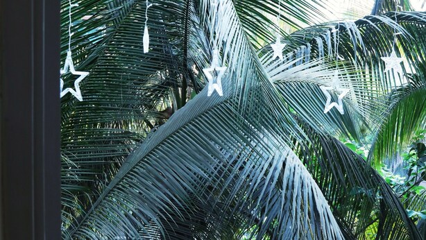 Vista de una pared blanca con palmeras y decoraciones de estrellas al fondo.