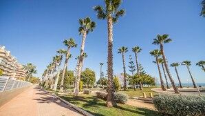 Un sendero flanqueado por altas palmeras, una pared de ladrillo a un lado y un cielo azul despejado.