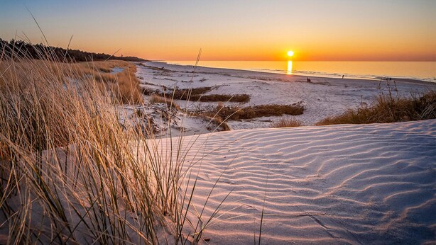 Ein Strand mit Dünen und vereinzelter Vegetation.