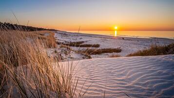 Una spiaggia nelle vicinanze, pesca