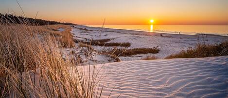 In Strandnähe, Angeln