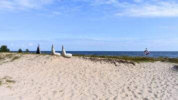 Playa en los alrededores y pesca
