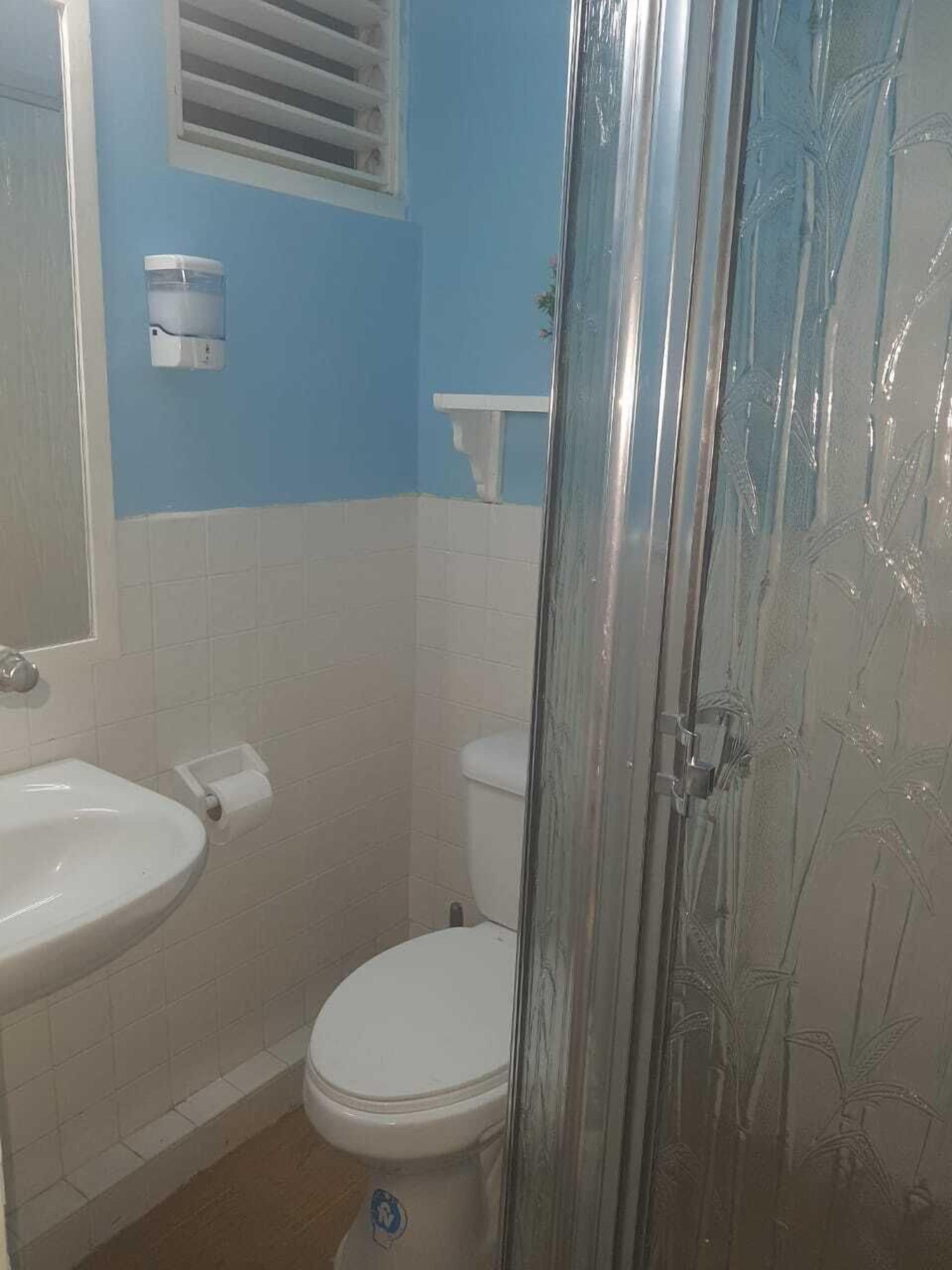 Un bagno con il water, un lavandino e una zona doccia.