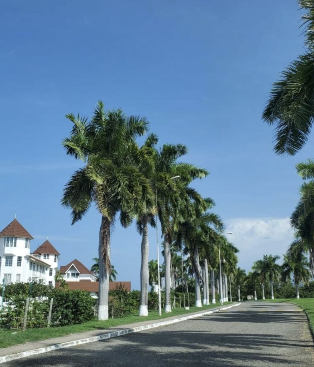Ngoại thất