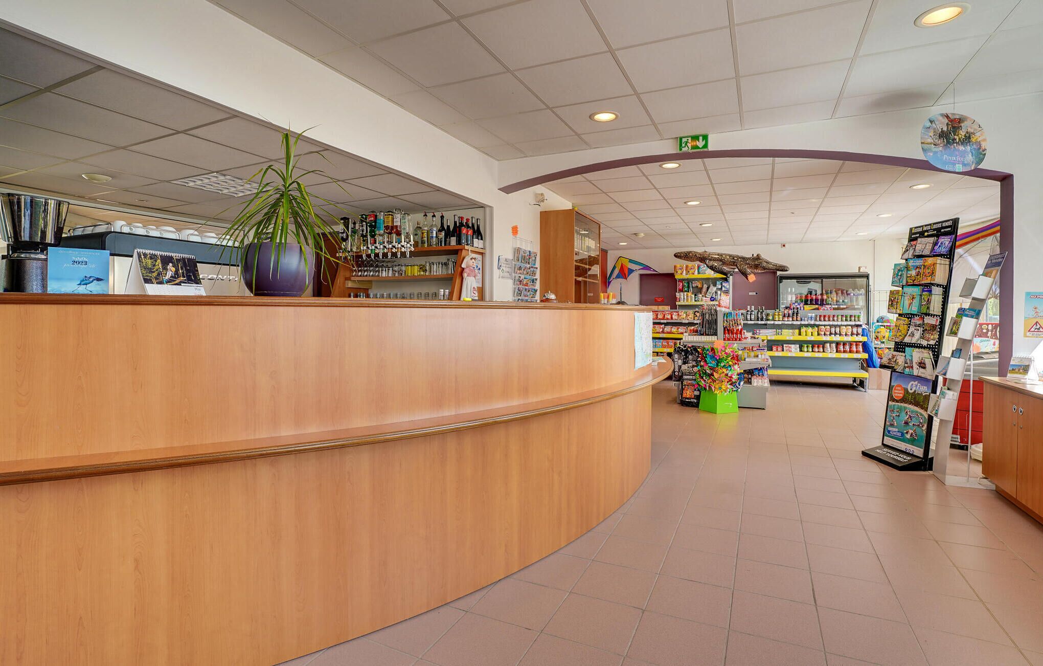 A bookstore with a curved wooden counter, shelves stocked with books, and a variety of colorful decorations.