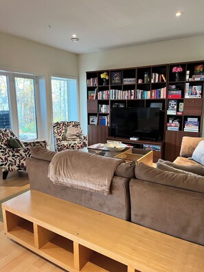 Smart TV, fireplace, video games, DVD player