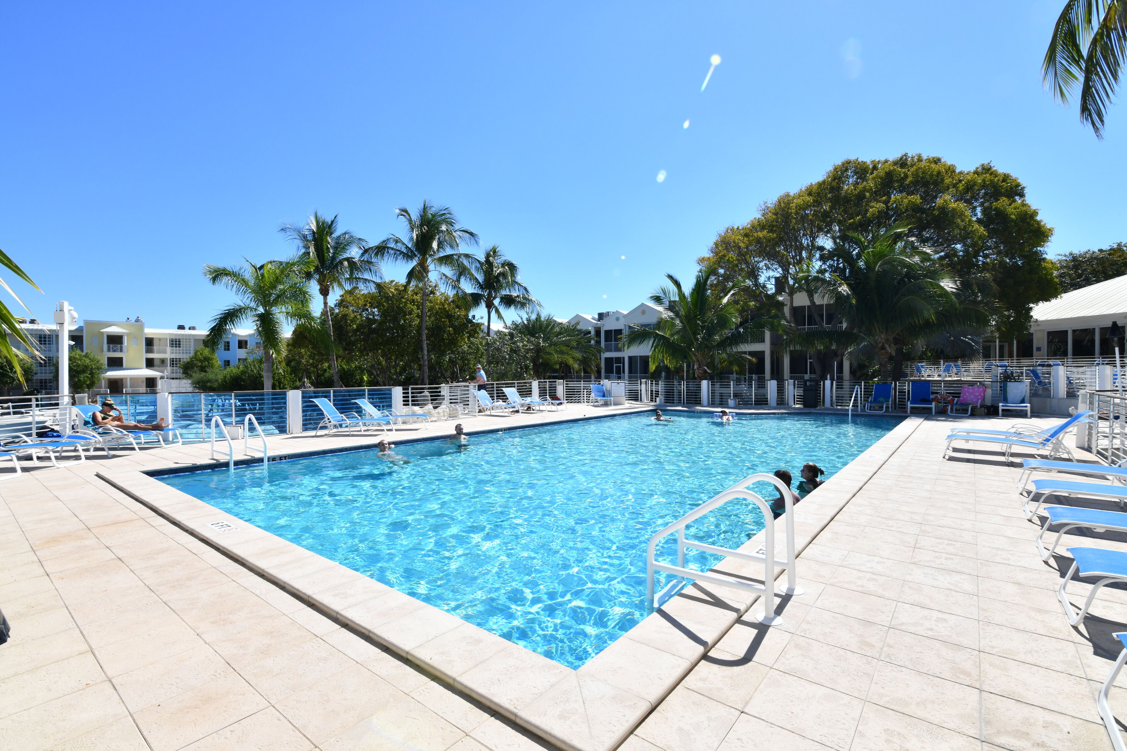 A swimming pool with clear blue water, surrounded by lounge chairs and palm trees.