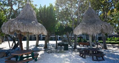 Brand New Listing! Beautiful - Upscale newly remodeled Modern Tropical Oasis!