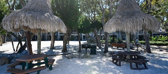 Brand New Listing! Beautiful - Upscale newly remodeled Modern Tropical Oasis!