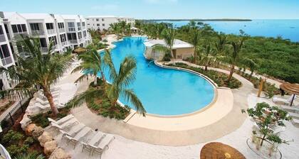 Brand New Listing! Beautiful - Upscale newly remodeled Modern Tropical Oasis!