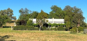 Property grounds - Chaffcutters Cottage - Pet friendly cottage in idyllic rural setting. (Canowindra)