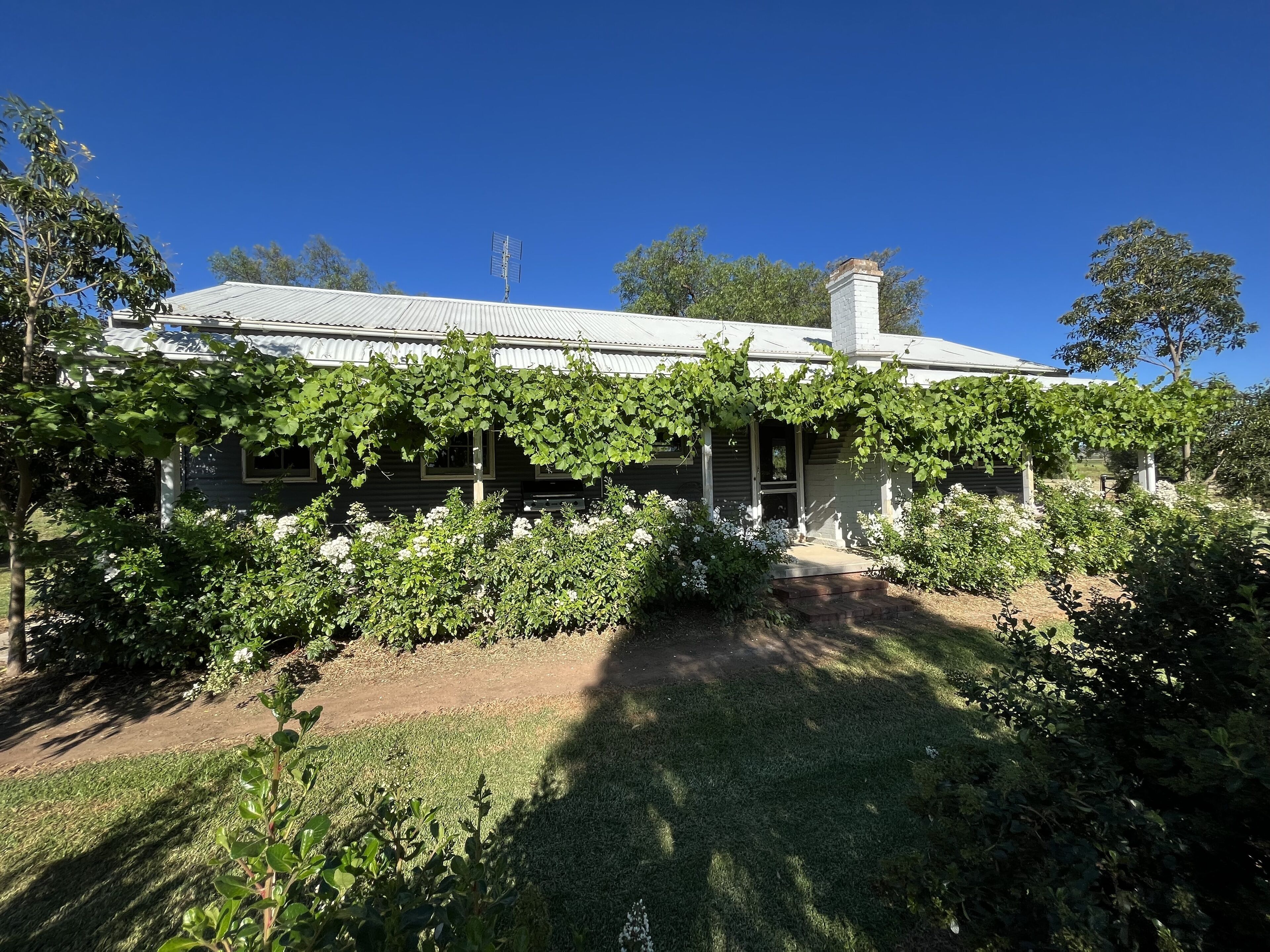 The Chaffcutters Cottage - pet friendly cottage in idyllic rural setting.